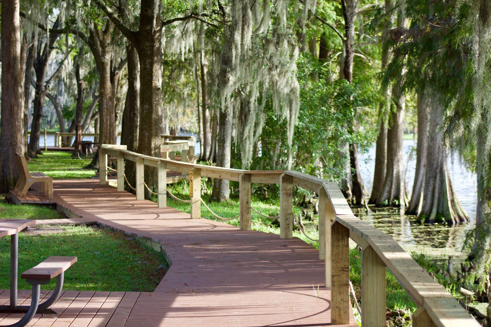 Shaded boardwalk beneath the oaks at the water’s edge